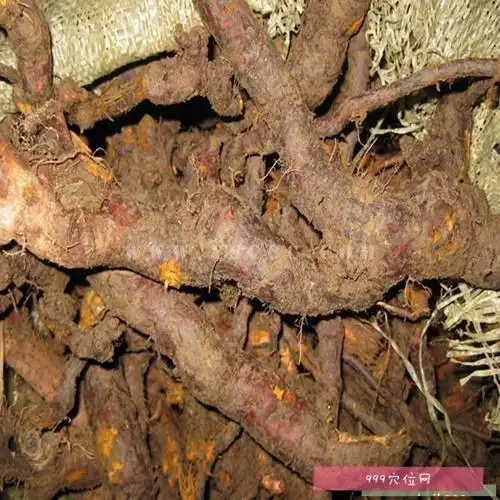 【虎杖】_虎杖的副作用_功效与作用