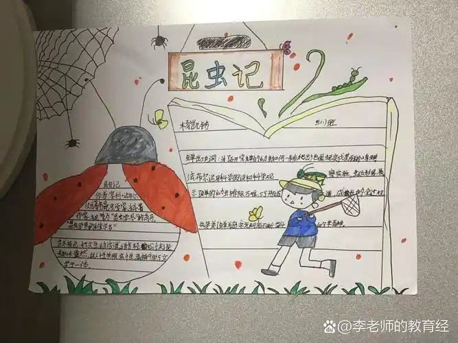 昆虫记的手抄报 内容