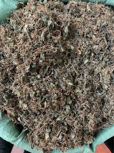 小叶青天250g包邮中药材野生独脚天揆珍珠叶半边其他药食同源食品