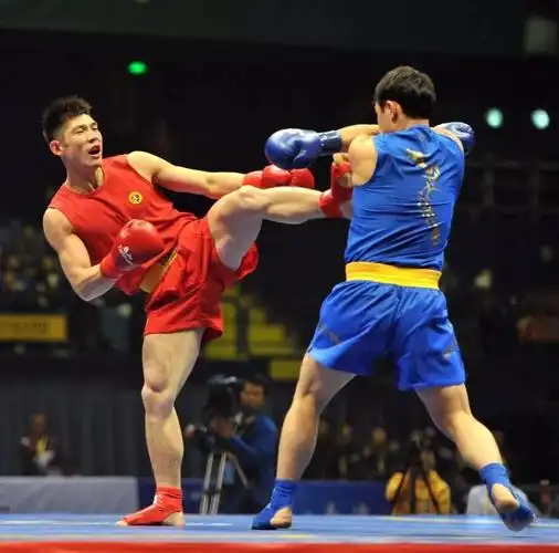 图说散打世界杯16年十大经典时刻