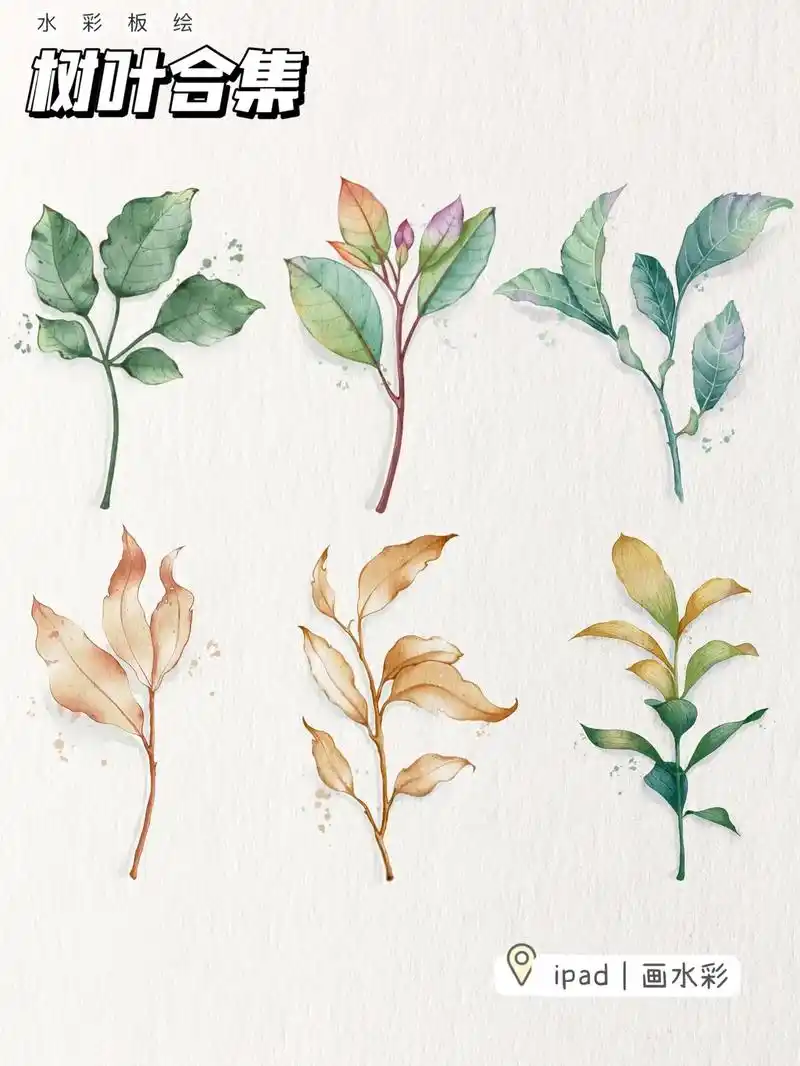 用水彩画树叶.#procreate绘画 #一起学画画 #水彩 - 抖音