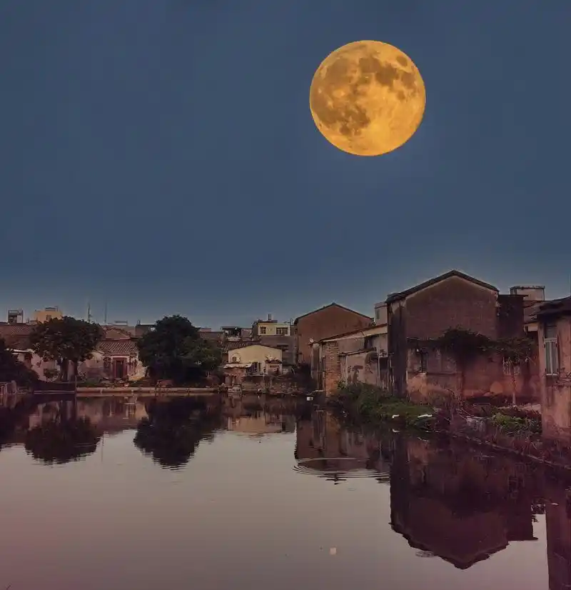 乡村 夜晚 小池 倒影 月亮