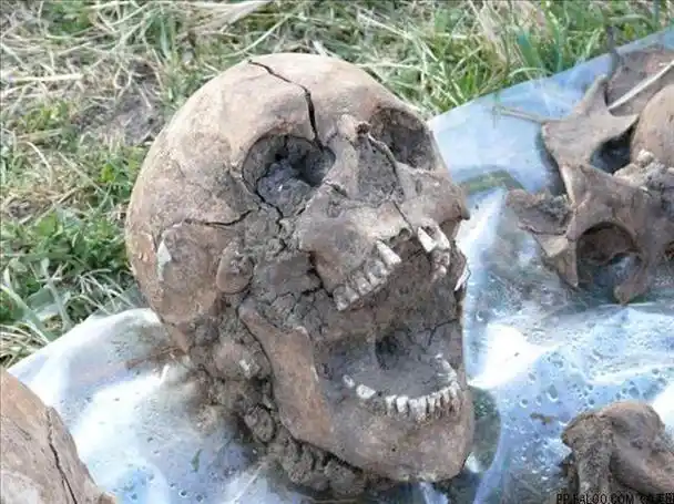 (图示:死不瞑目的骷髅)中华上下五千年的历史曲折跌宕,引人入胜,其中