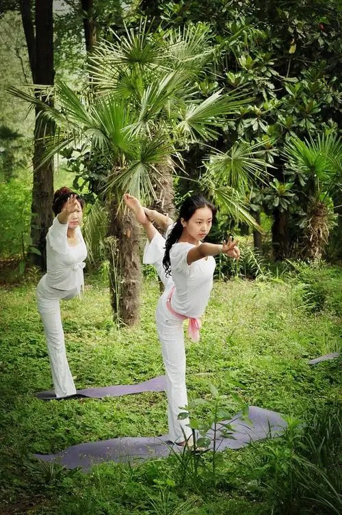 瑜伽功夫——仙人指路