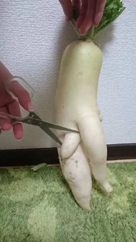 (剪掉萝卜的 jj)_jj_剪掉_萝卜表情