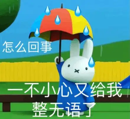 怎么回事一不小心又给我整无语了_无语_一不小心_我整表情