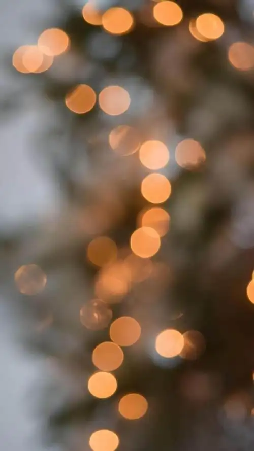 朦胧光影唯美梦幻摄影散景