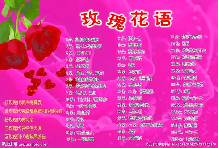 100种花语大全(100种花语大全 寓意)
