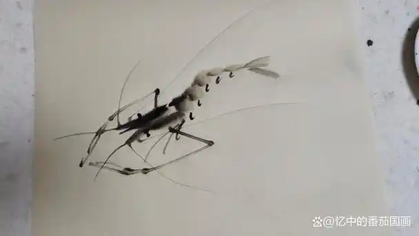 水墨虾画法