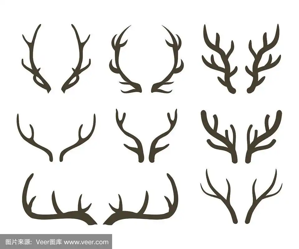 有角的,鹿角,矢量,波兰,背景分离