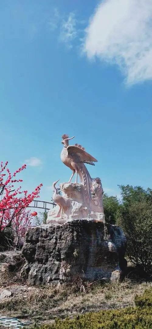 种下梧桐树,引得凤凰来