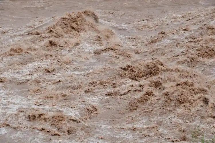 远行西部的四十二天(一)