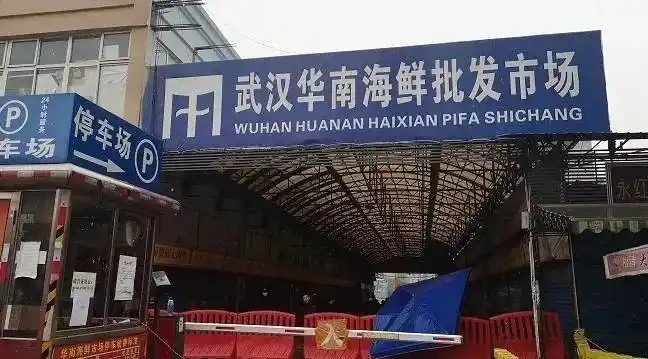 卖野味的华南海鲜市场老板是谁