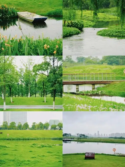 雨后的洋湖湿地公园74