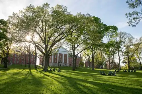 making campus beautiful, one chair at a time