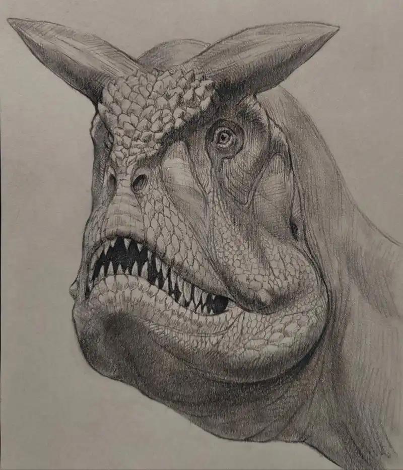 牛龙证件照 把帅气的食肉牛龙画成了窝瓜