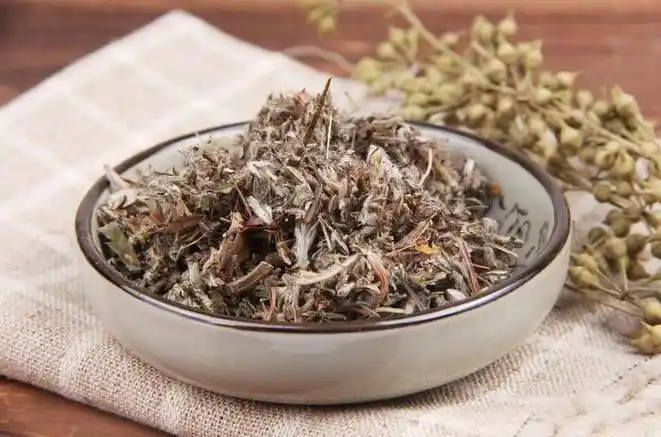 4每天学一味中药,委陵菜!