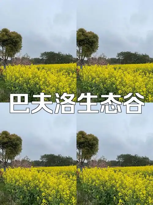 高安巴夫洛生态谷,这个国家级田园综合体的