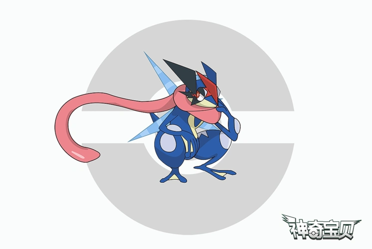 甲贺忍蛙超进化