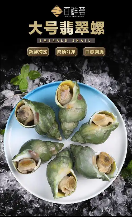 翡翠螺特大海螺无沙刺身螺水产日料螺鲜活速冻自助餐螺