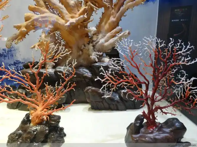 台湾游(15)观赏绮丽红珊瑚馆 (原创)