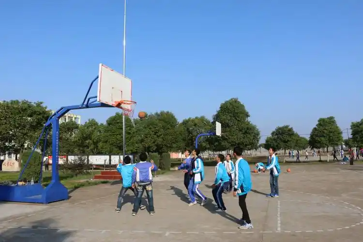 喜报:刘公庙学校获2016年全省乡村学校少年宫考核"优秀"等次