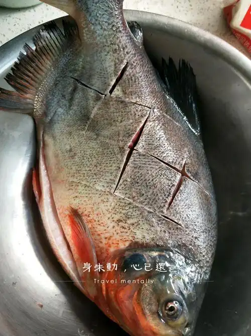 红烧扁鱼的做法