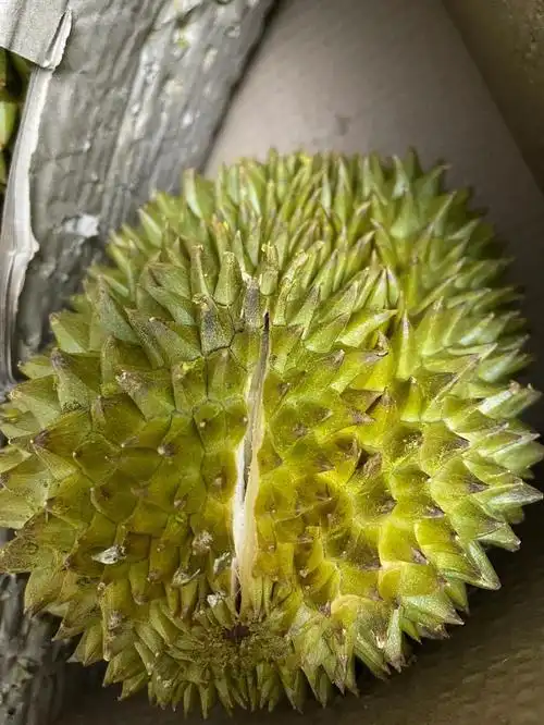 京东青尼榴莲开箱