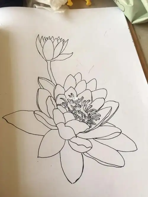 《自在飞花》#绘画  #手绘  #画画  #寻找小红书绘画大神  #睡莲