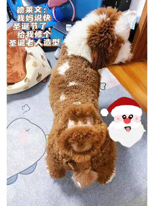 巨贵圣诞老人造型