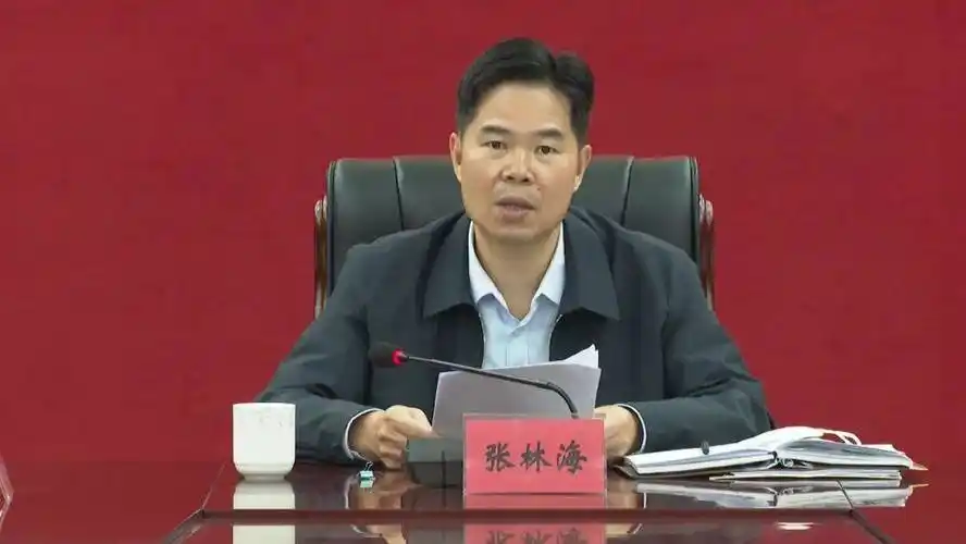 人事任免_海丰县_会议_县政府