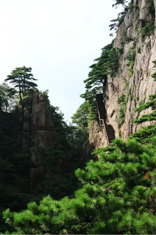 黄山之约图片309,安徽省旅游景点,风景名胜 - 蚂蜂窝图库