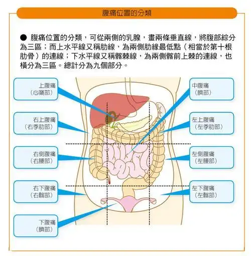 小腹胀痛是什么原因女性 小腹左侧疼痛怎么回事_健身常识 - 美羊羊