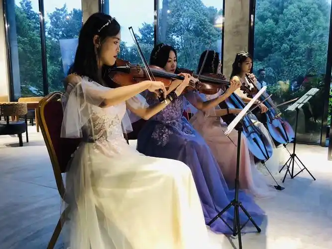 商演小提琴 – 成都乐队表演,成都歌手演出