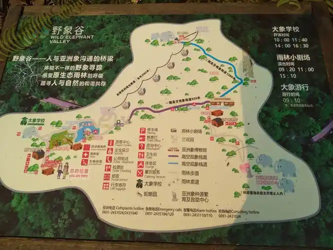 2021年3月16日上午西双版纳野象谷