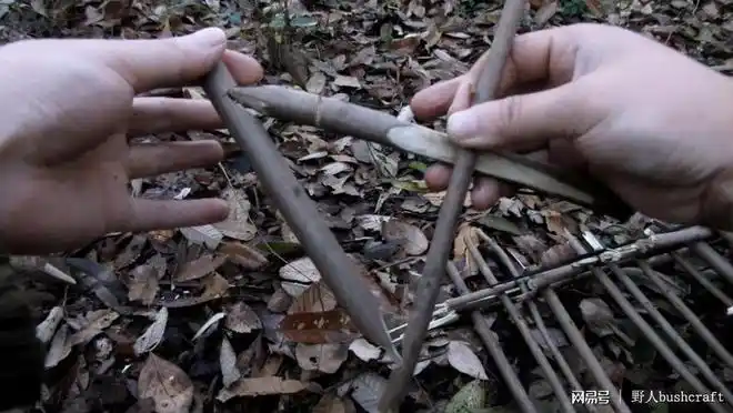 荒野求生不愁吃喝,捕鸟神器地笼的制作