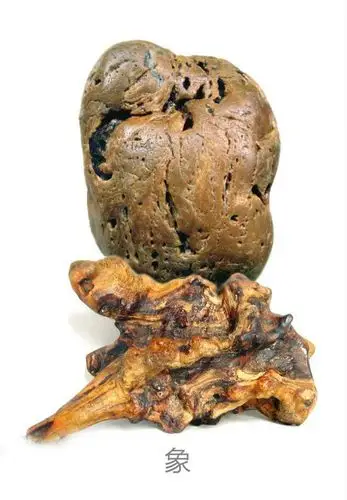 我的奇石欣赏-象形石