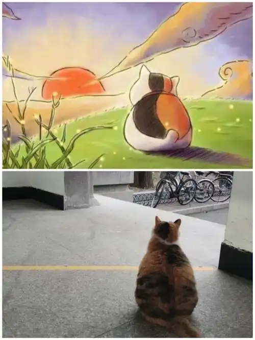 图一好像猫咪老师～它现在走路真的一颠一颠地像狗一样.