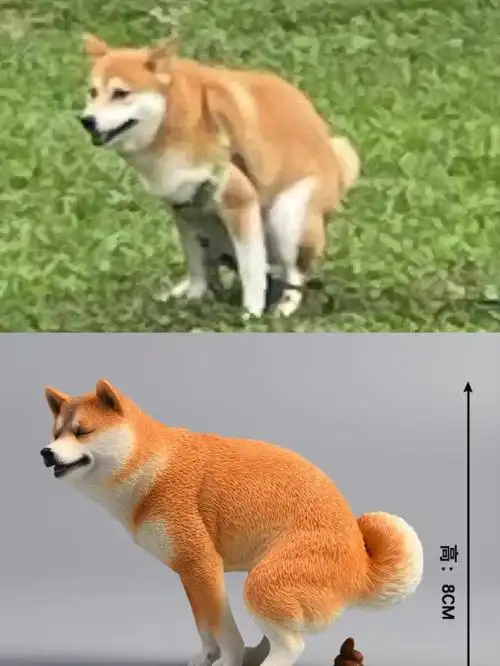 原图在p4 p5哈哈哈人家是真的小狗#柴犬  #我家宠物好可爱  #我的萌宠