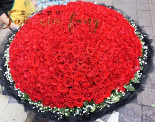 江津合川永川南川重庆1314朵红白粉香槟蓝玫瑰求婚鲜花同城速递