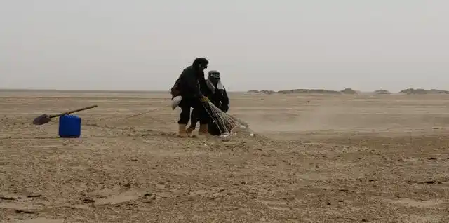 《生死罗布泊》禁地之所以叫做禁地,是因为它有太多秘密不为人知