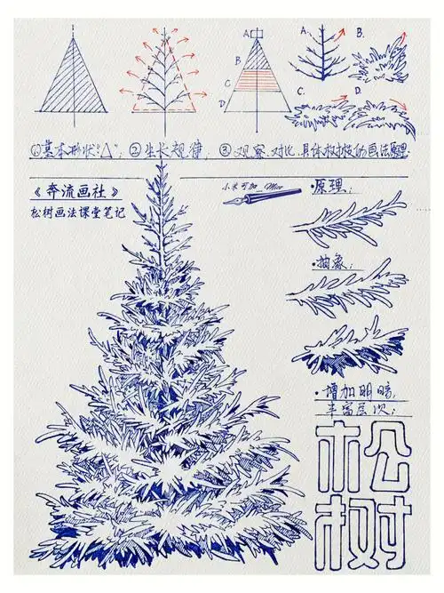 速写人间万象  #笔记灵感  #钢笔画  #松树  #跟着阿奔老师学画画