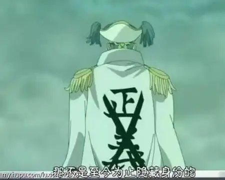 海贼王里有个人穿海军的正义披风不过划了一道,表示反正义,是谁我给