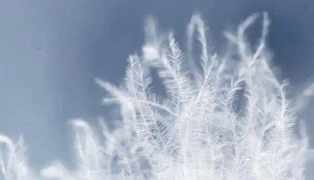 选羽绒服时需要考虑什么如何鉴别羽绒服的好坏