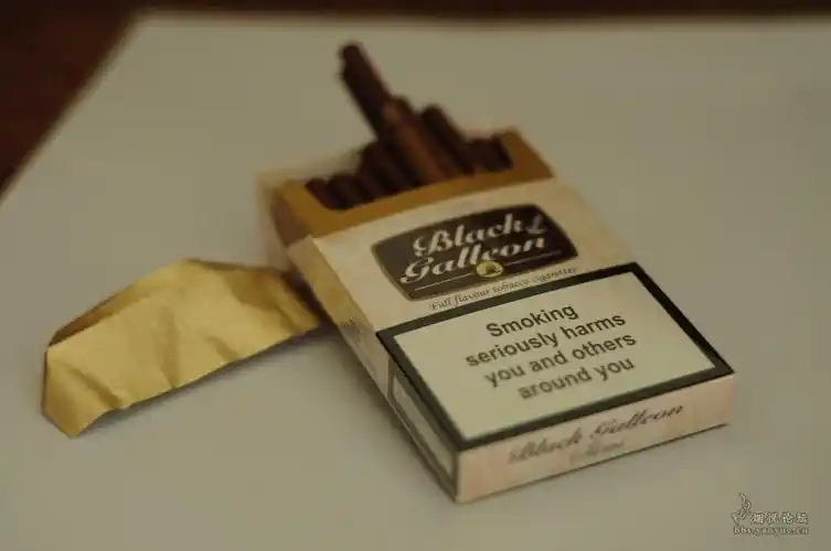 black galleon 【黑帆船】 - 非大陆香烟 - 烟悦网论坛