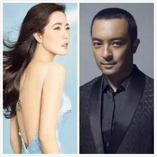 曾黎前男友有哪些(5段情史45岁未婚) - 帮企客