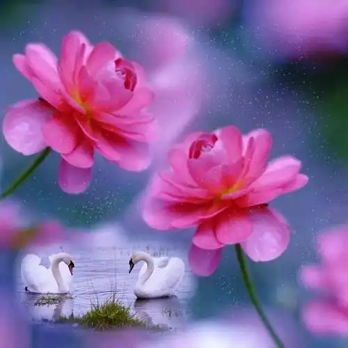 中老年头像大全:好运连连,招福纳福的吉祥微信头像