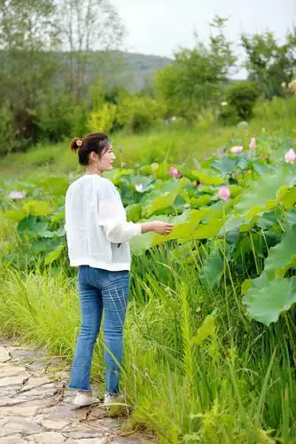 荷塘美色陪美女 靓丽风景惹人醉