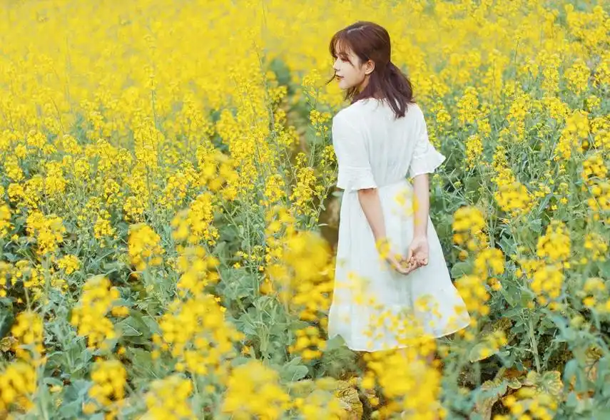 人像摄影丨油菜花海唯美人像实拍技法pose及服装道具