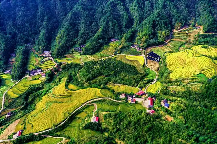 陕西安康市宁陕县生态经济引领乡村振兴观察